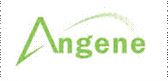 Angene Chemical